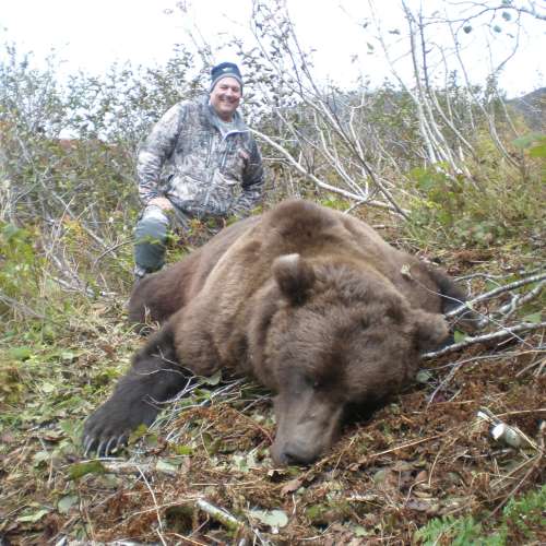 Alaska Brown Bear Hunts