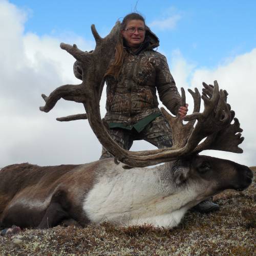 Alaska Caribou Hunts